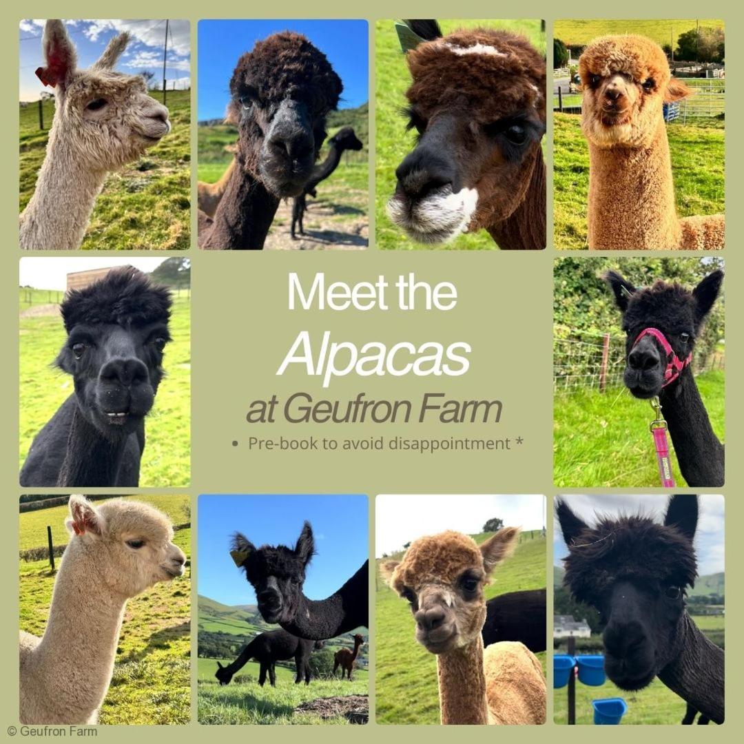 Casa de Férias Dog Friendly Cottage, Geufron Farm Near Tywyn *